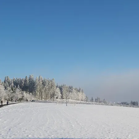 Welcome In - Winterglück, Prachtige Omgeving, Ski- En Fietsberging *