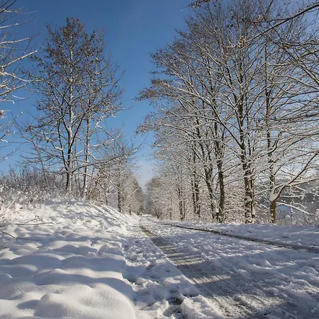 Апартаменты Welcome In - 'winterglueck', Wunderschoene Umgebung, Ski- Und Fahrradabstellraum - Neuastenberg, *